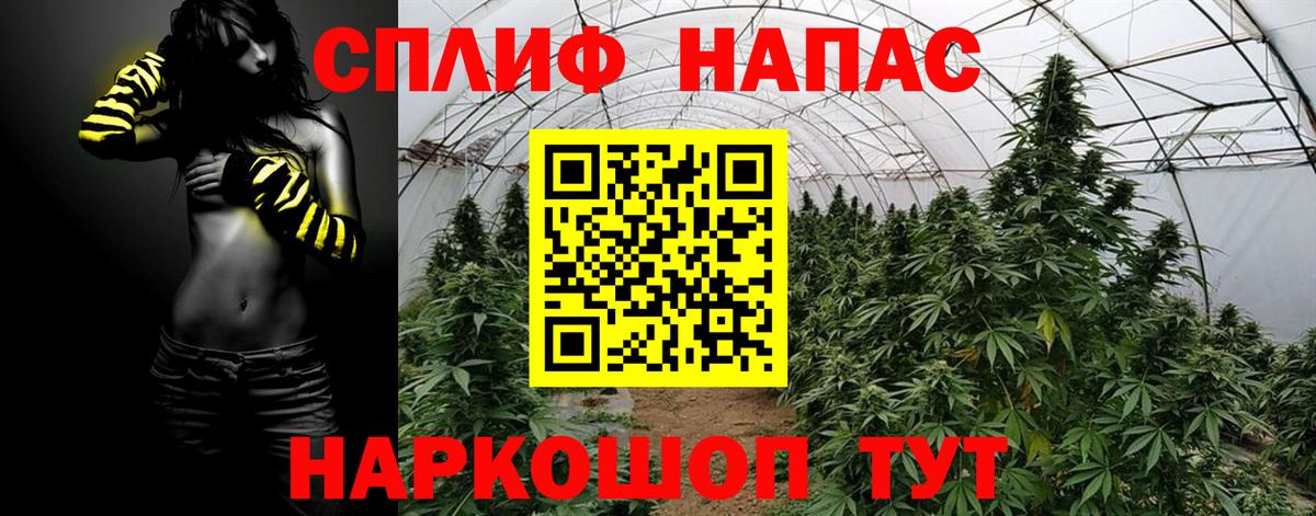 Каннабис ГИДРОПОН Лабытнанги